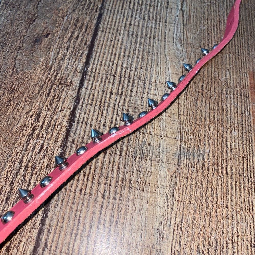 Pink studded spiked leather collar petco 
Size 16”